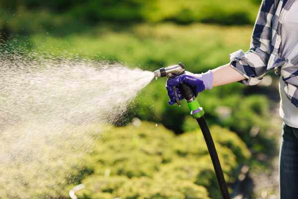 arrosage paysagiste entretien