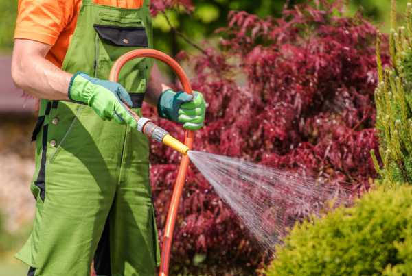 arrosage vert jardin