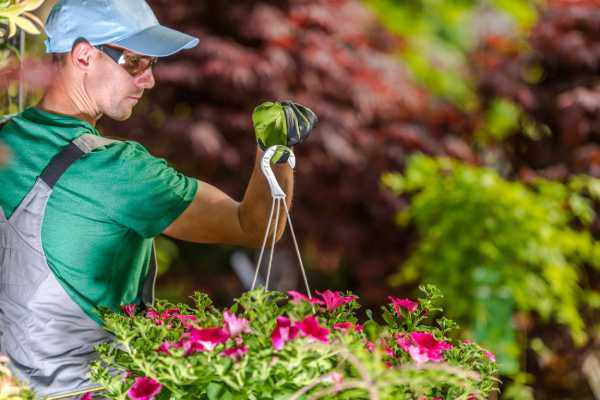 service aménagement jardins et paysages