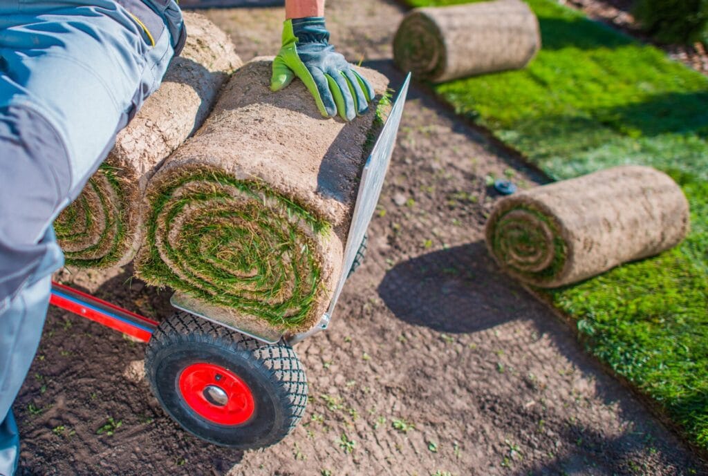 Installation gazon synthetique belgique