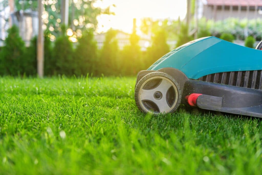 entretien gazon synthetique 1